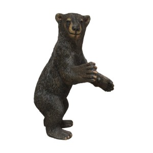 Bears: Baby Black Bear