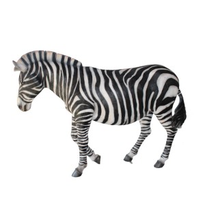 Savannah: Zebra