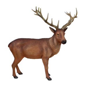 Forest: Stag