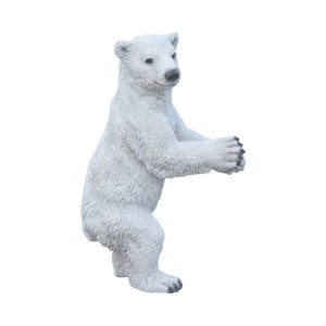 Bears: Baby Polar Bear
