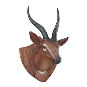 Trophy: Gazelle Head