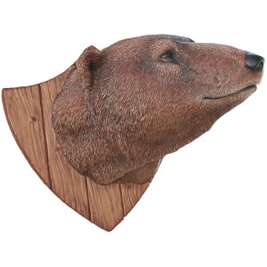 Trophy: Grizzly Bear Head